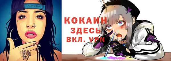 трава Медвежьегорск