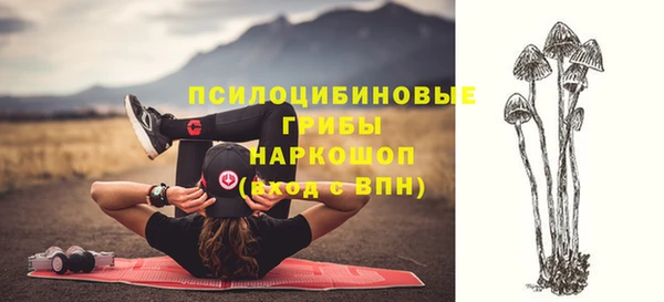 ALPHA PVP Михайловка