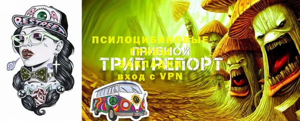 трава Медвежьегорск