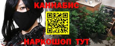 амф Гатчина