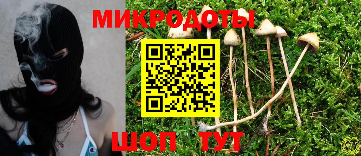 Псилоцибиновые грибы мицелий Фрязино