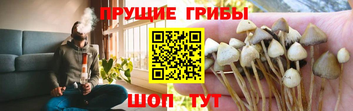 Псилоцибиновые грибы Psilocybe  Галлюциногенные грибы ЛСД  Фрязино  Вход с VPN 